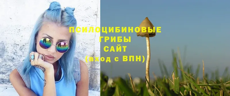 Галлюциногенные грибы Cubensis  Зима 